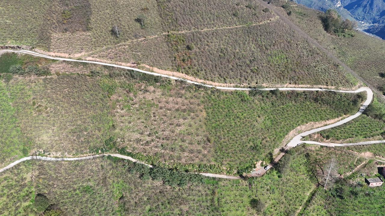 MABEL GAYRİMENKUL-ŞEYHMUSA KÖYÜ FIRSAT FINDIK BAHÇESİ